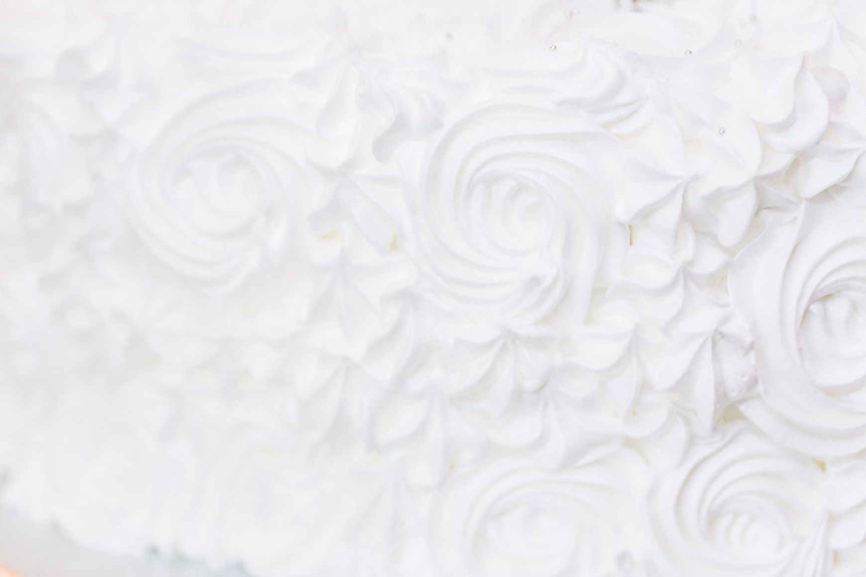 Tallow-Based vs. Traditional Moisturizers