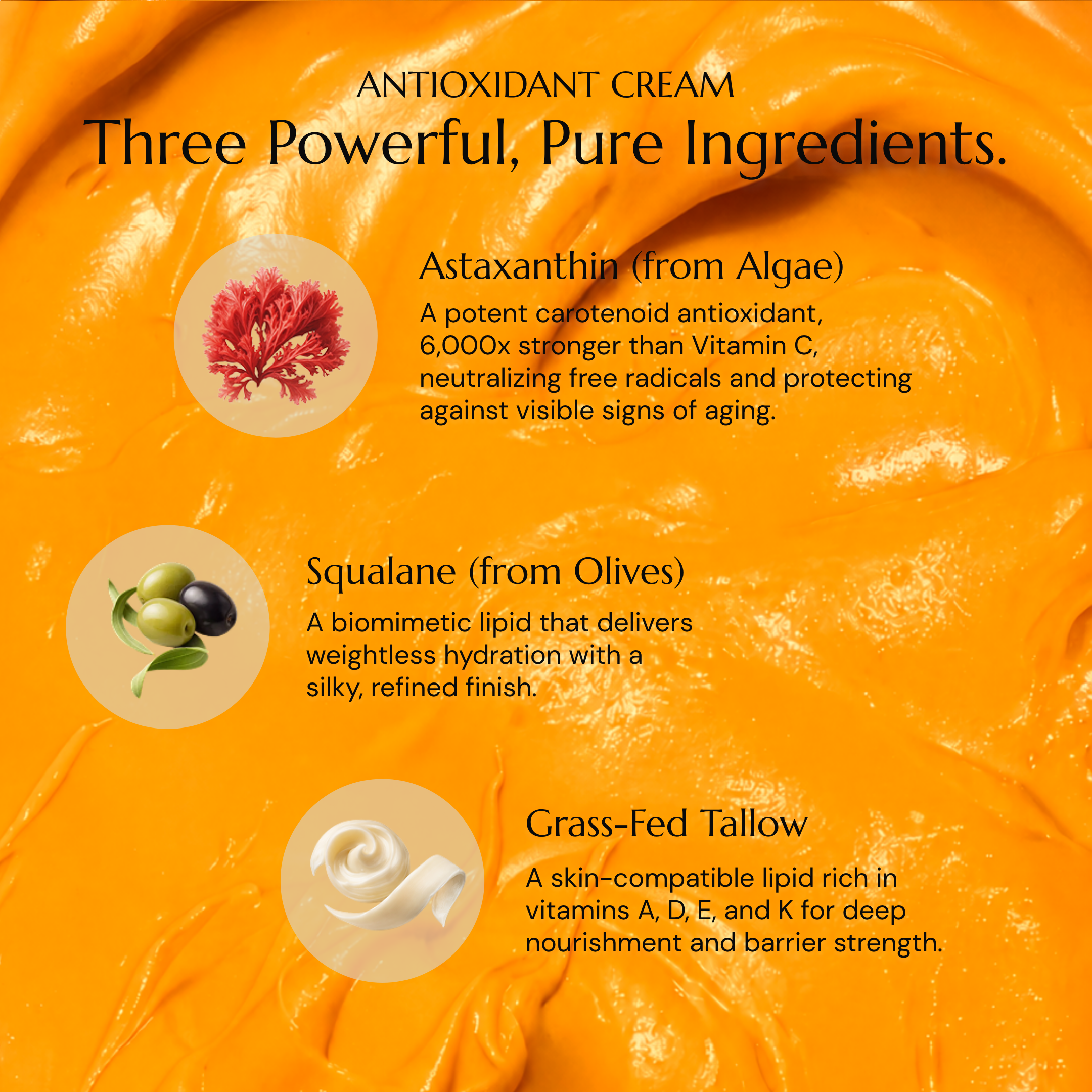 The Anti-Aging Routine