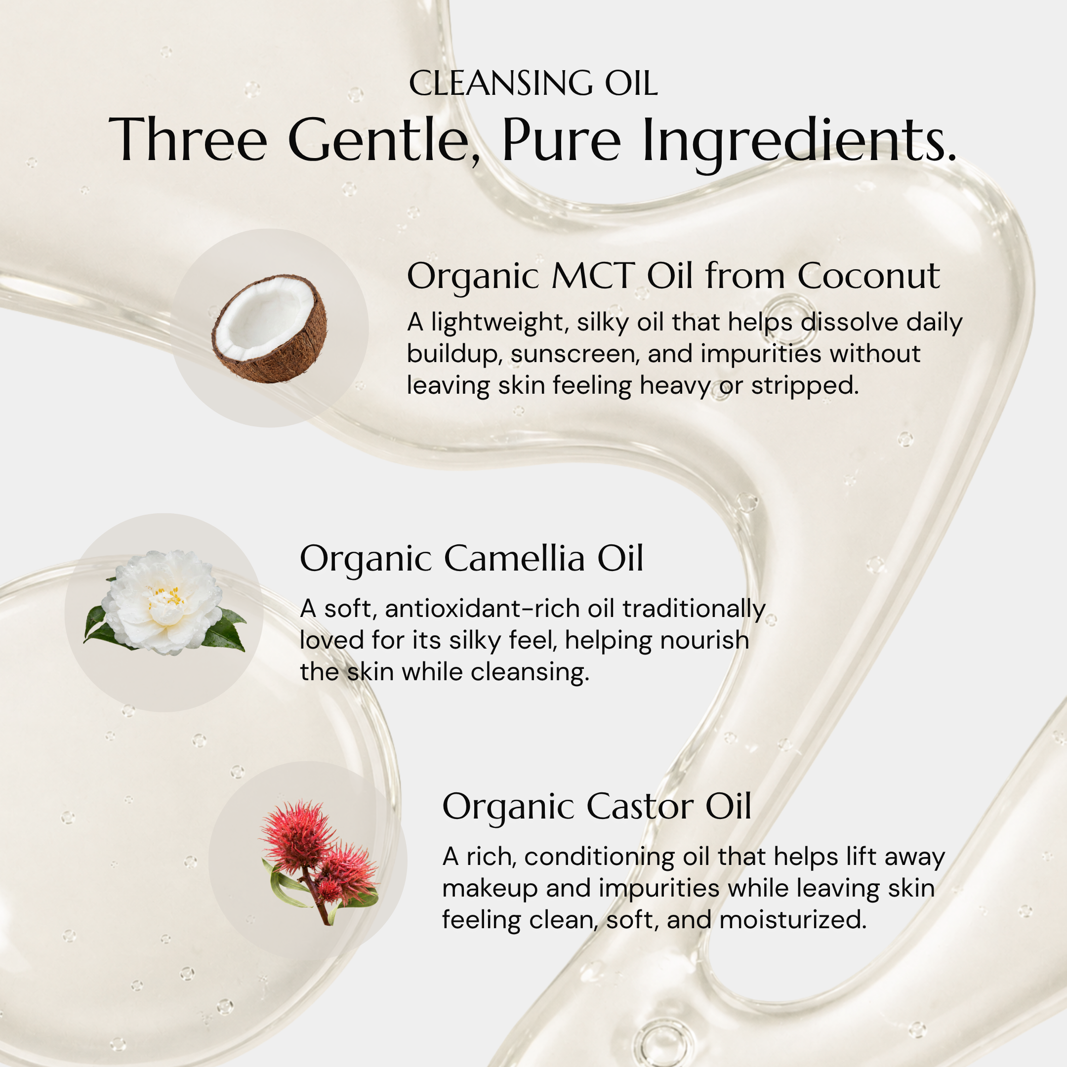 The Anti-Aging Routine