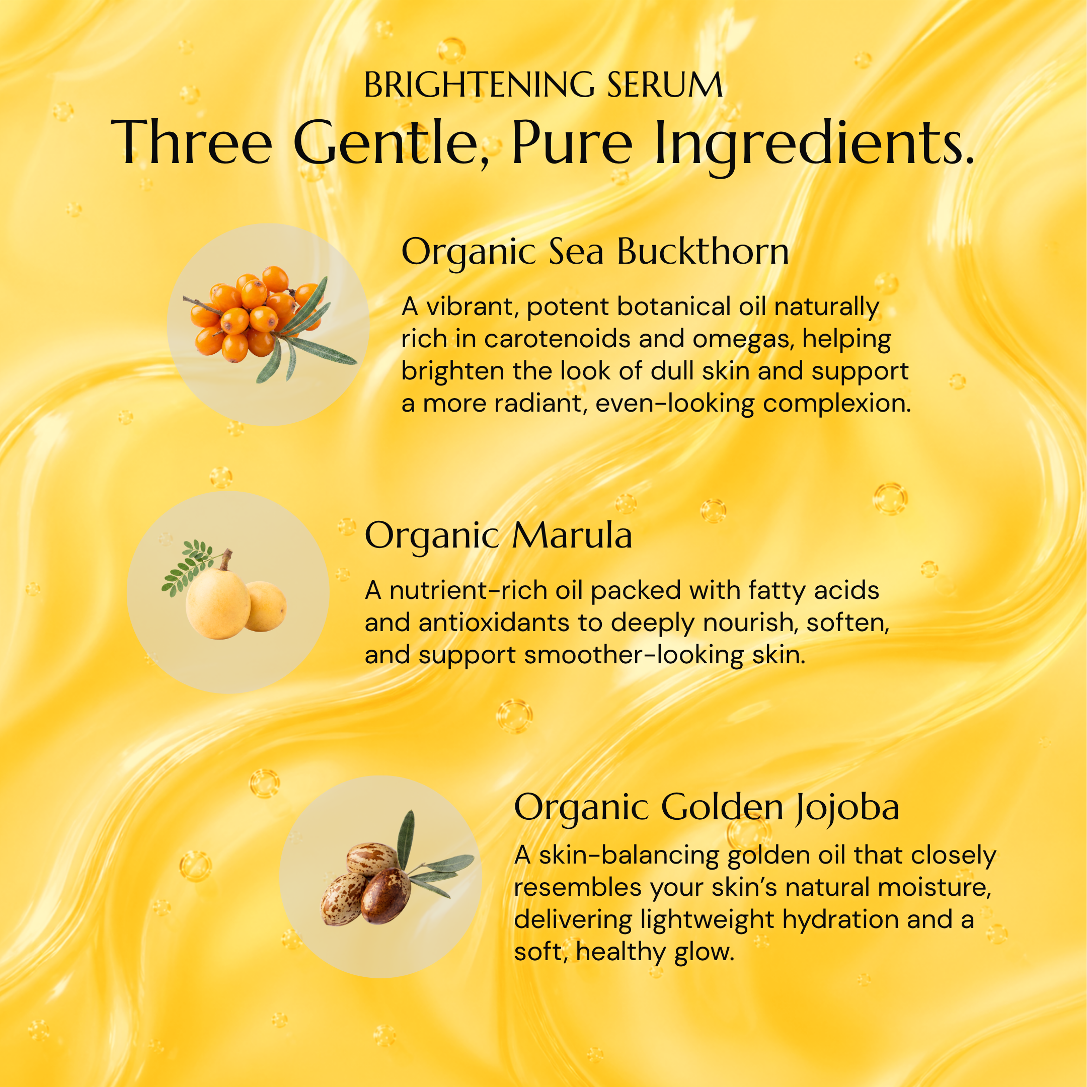 The Anti-Aging Routine