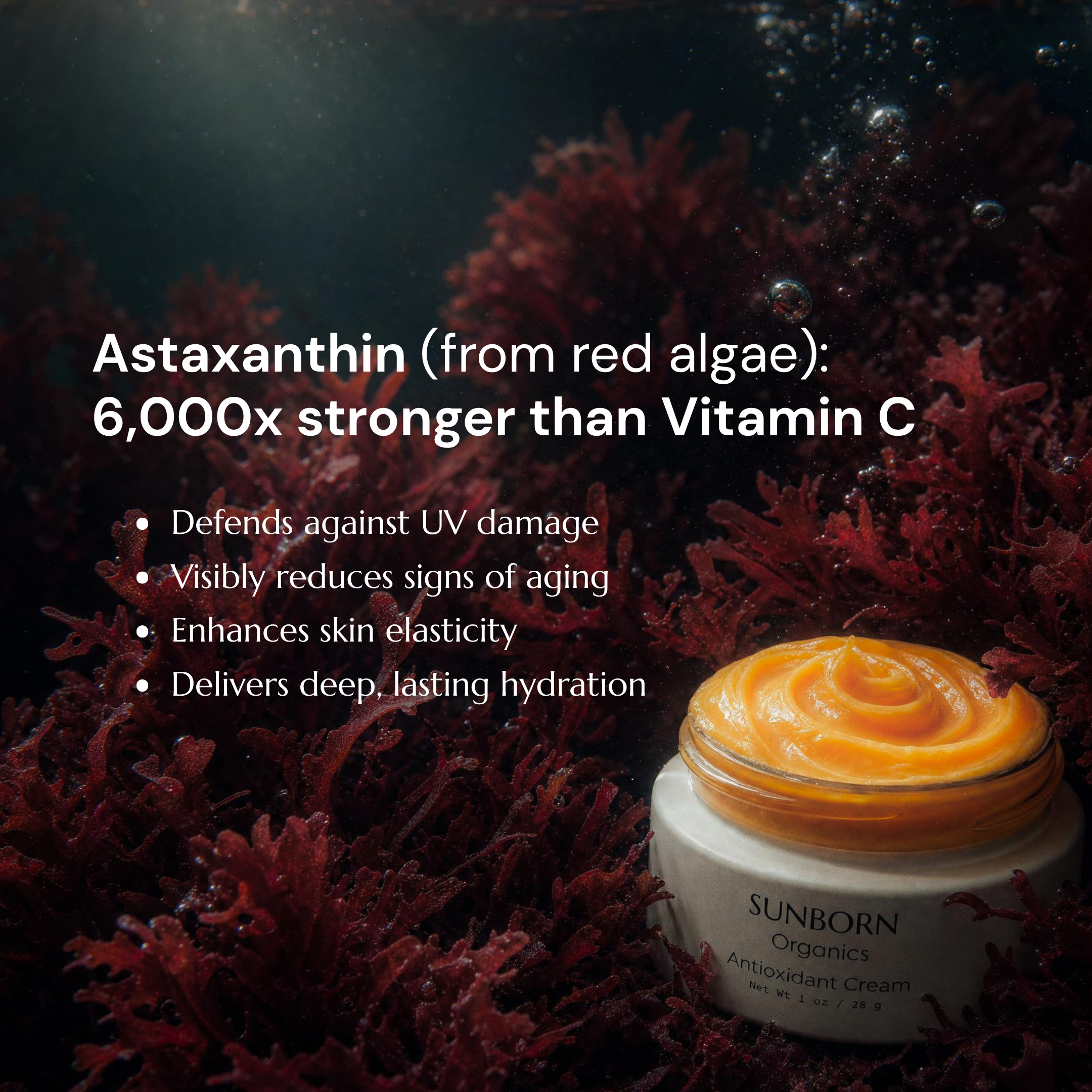 Antioxidant Cream