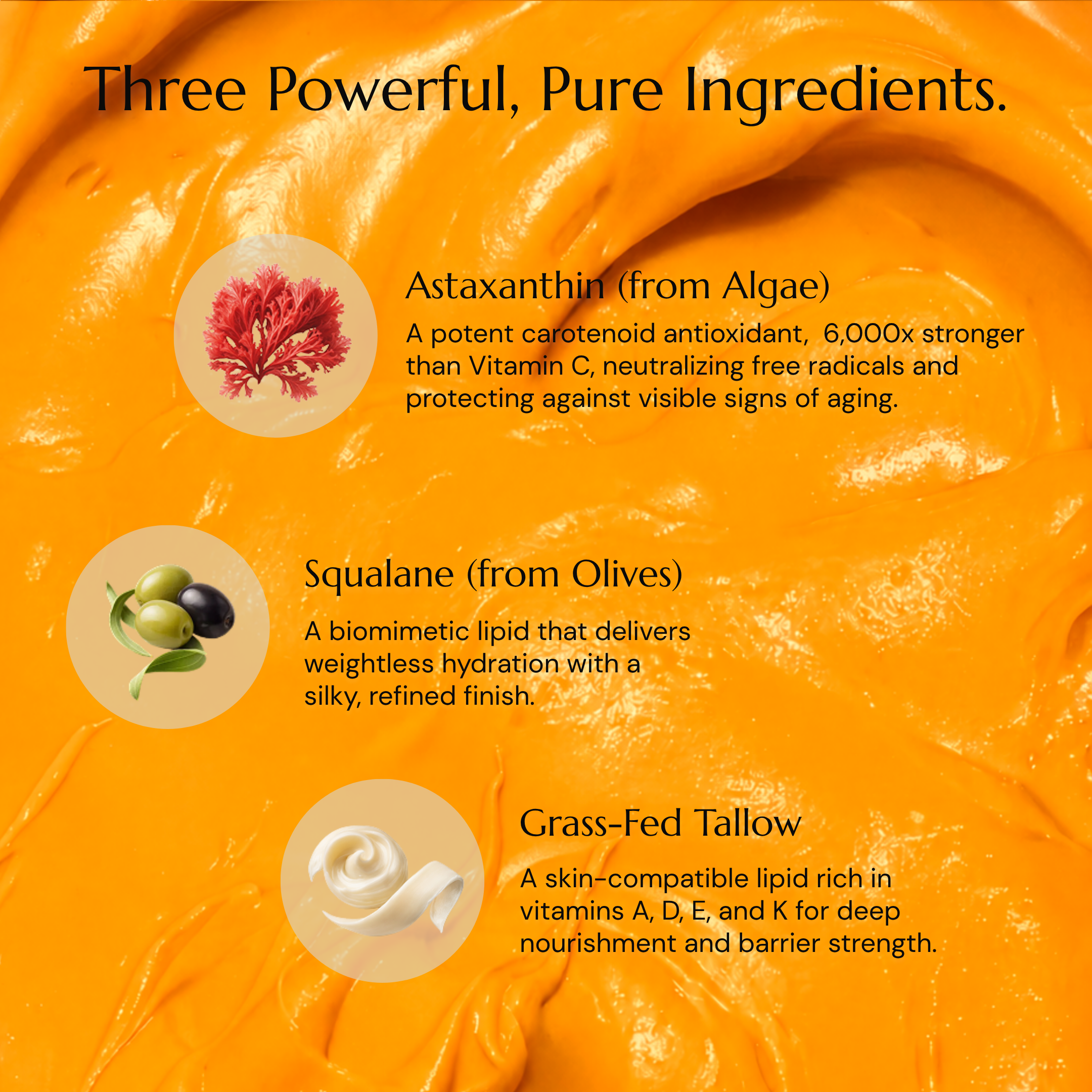 Antioxidant Cream